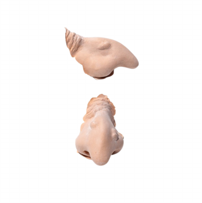 PXP Professional Colours Latex heksenneus