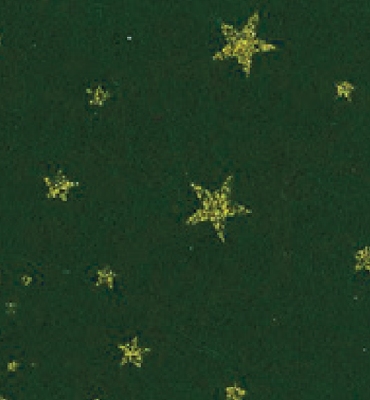 Stafil Vilt Glitter stars, Dark Green | 30x40cm | 1mm