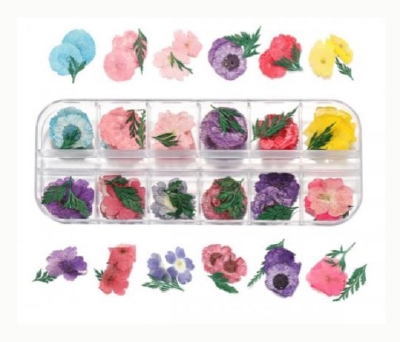 Foamtastic Specials | Cherry Blossoms and Daisy Leaves