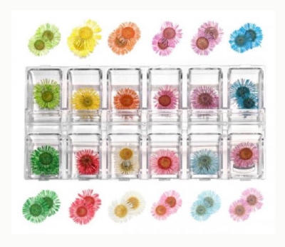 Foamtastic Specials | Daisies in 12 colors