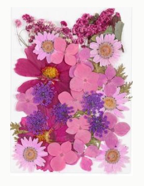 Foamtastic Specials | Pink Wildflowers Collection vol. 2