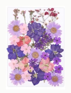 Foamtastic Specials | Purple Wildflowers Collection