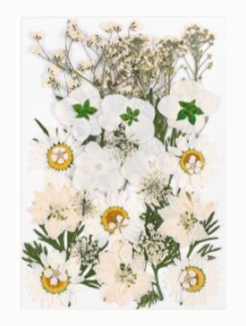 Foamtastic Specials | White Wildflowers Collection