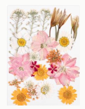 Foamtastic Specials | Wildflowers Collection vol. 1