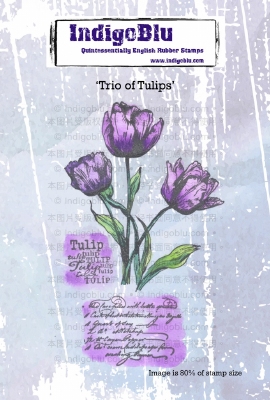IndigoBlu stempel | Trio of Tulips | Tulpen | A6