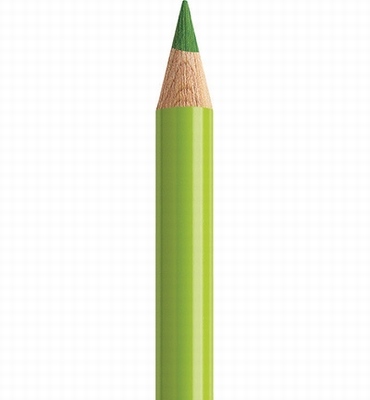 Faber Castell Polychromos 170 meigroen