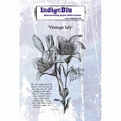 IndigoBlu stempel Vintage Lily ( Lelie )