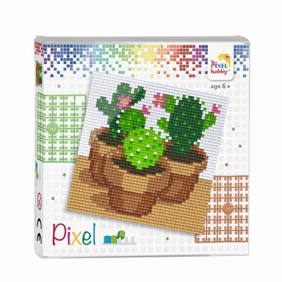 Pixelhobby set | Cactussen