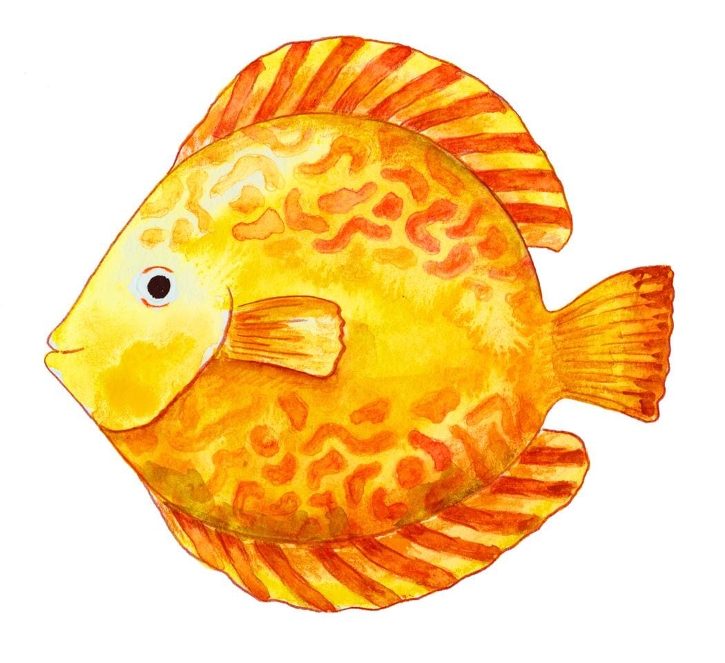 Faber Castell Aquarelpotlood 24 stuks + penseel