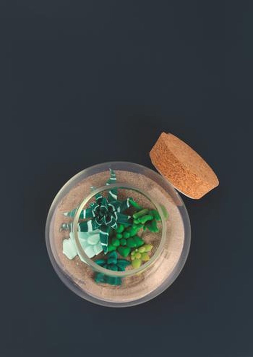 Graine Creative Fimo Polymeerklei Terrarium Set