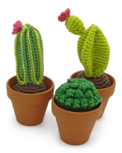 Haakpakket Cactussen | Hardicraft