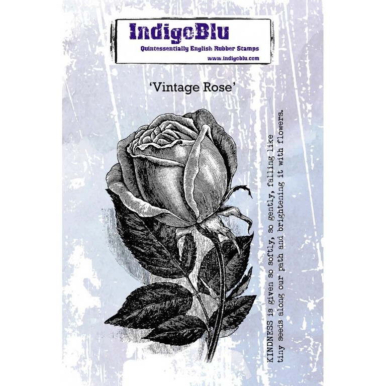 IndigoBlu stempel Vintage Rose ( Roos )