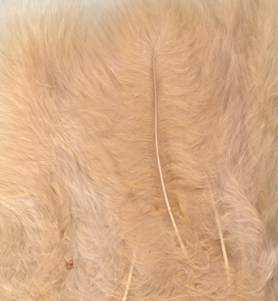 Marabou Feathers,Beige,15pcs