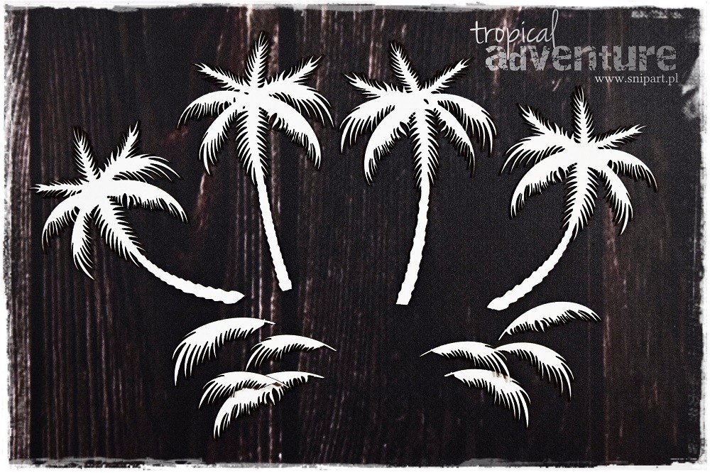 Palmbomen in softboard | Tropical Adventure | Snipart