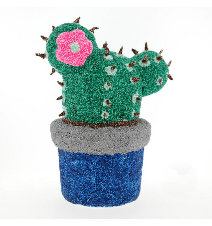 Spaarpot Cactus
