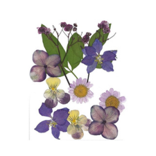 Bloemen | Bladeren | Meeldraden