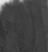 Marabou Feathers,Black,15pcs
