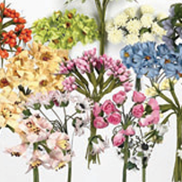 Bloemen - Bladeren - Meeldraden