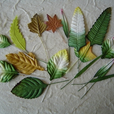 Mulberry Paper Bladeren