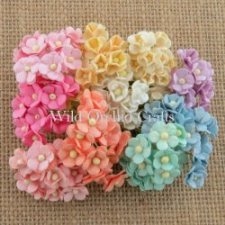 Mulberry Paper Sweetheart Blossom - Bloesem